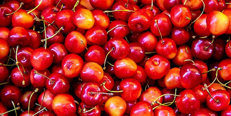 Stone cherries