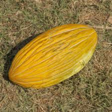 Melons