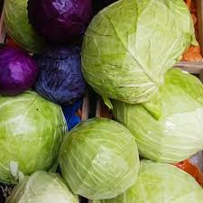 Cabbages