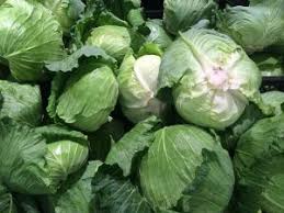 Cabbages