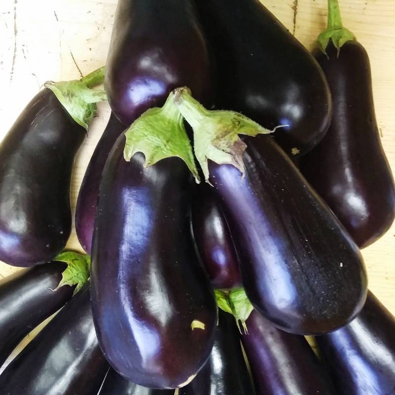 Eggplants