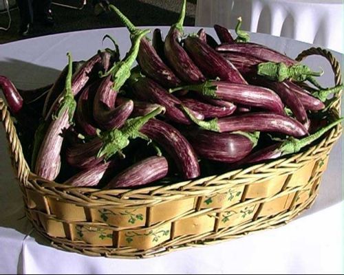 Eggplants