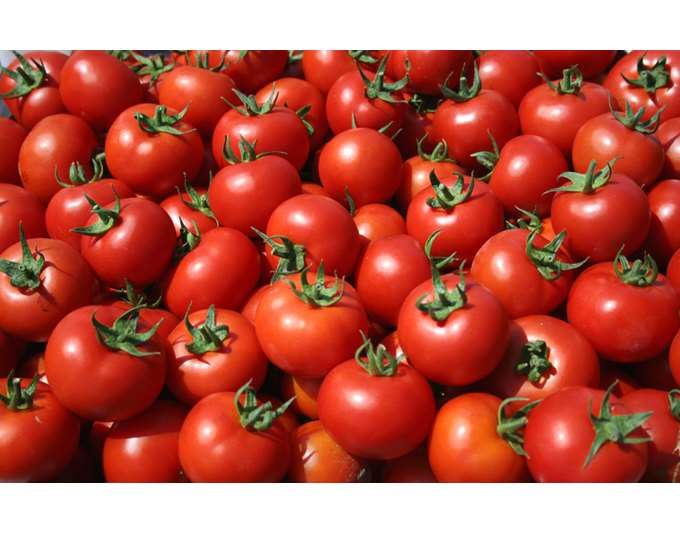 Tomatoes