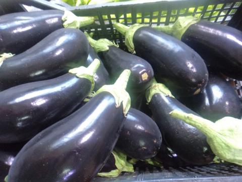 Eggplants