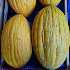 Melons