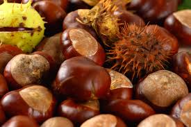 Chestnuts