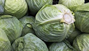 Cabbages