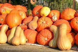 Pumpkins