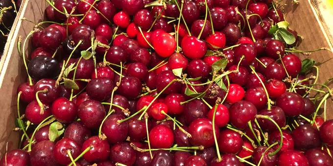 Sour Cherries