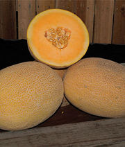 Melons